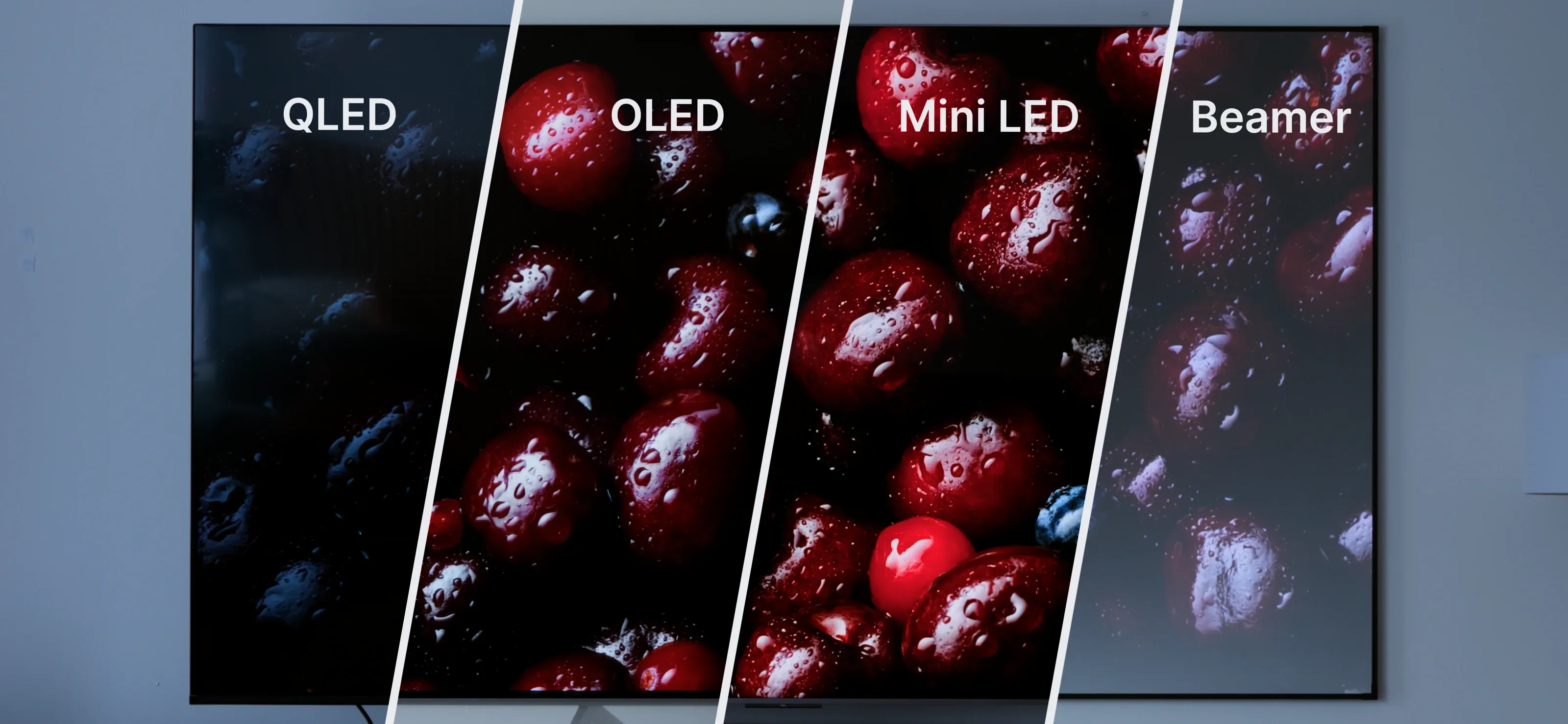 Still 5 aus QLED, OLED, Mini-LED oder Beamer?